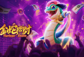 大小单双导师带赚包赔桌面版客户端