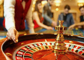 大小单双导师带赚包赔2024最新版